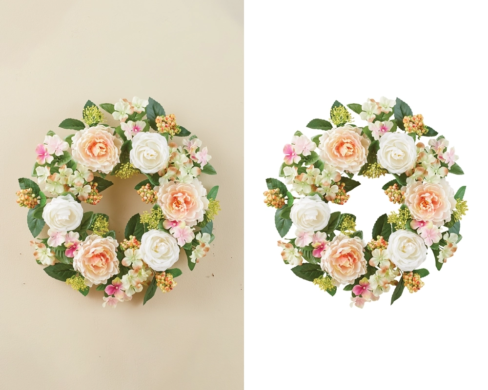 Complex Clipping Path Service | Professional Cutouts for Detailed and Intricate Images